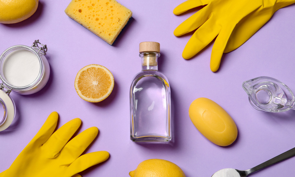 Does Vinegar Kill Mold? (DIY Spray Instructions)