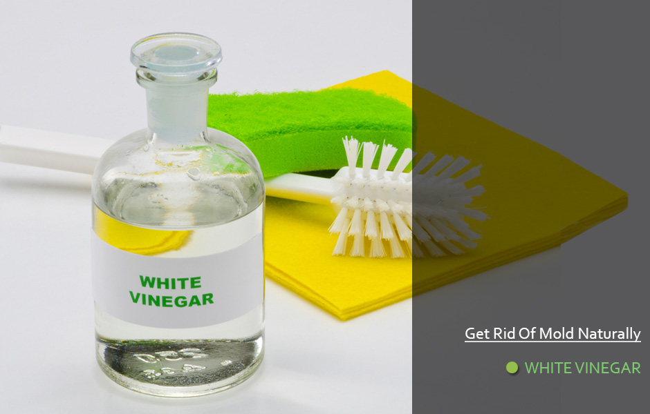 can vinegar get rid of mattress stains